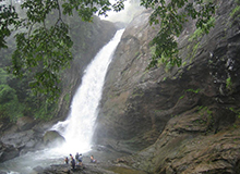 Soojippara Water Falls